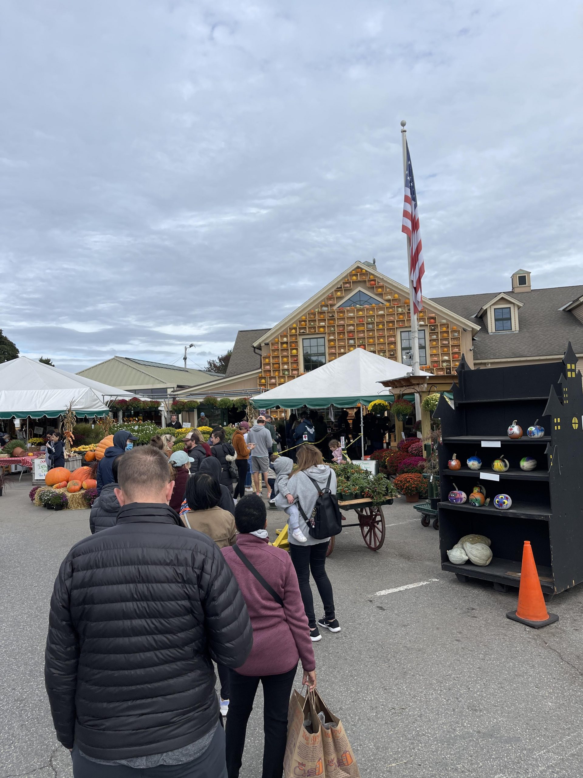 Wilson Farms Apple Cider Donut Line